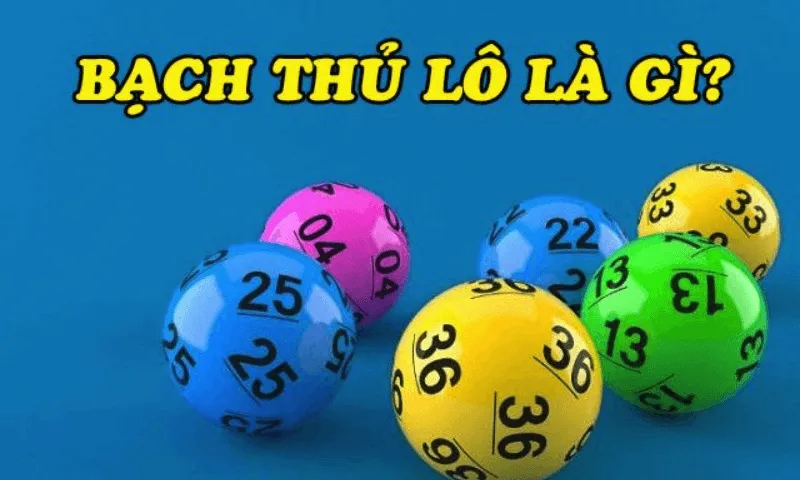 Khái Niệm Bạch Thủ Lô