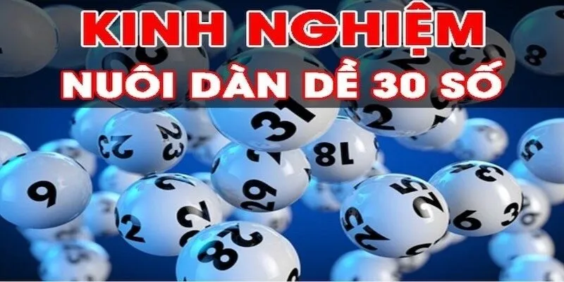 Phương Pháp Soi Cầu và Tạo Dàn Đề 30 Số Hiệu Quả