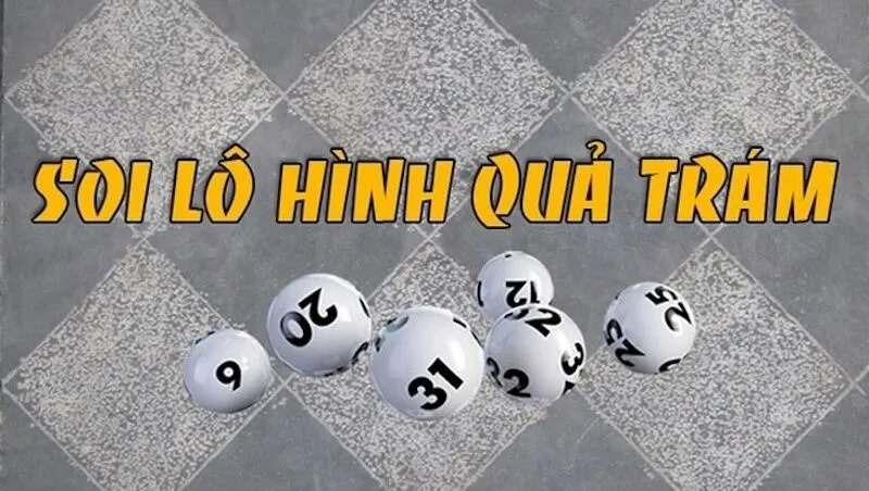 Kỹ Thuật Nuôi Lươn Không Bùn Hình Quả Trám: Hướng Dẫn Chi Tiết