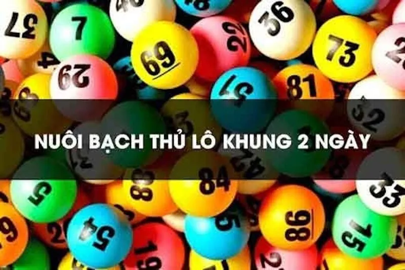 Kinh Nghiệm Nuôi Lô Khung 2 Ngày Từ Người Chơi Lâu Năm