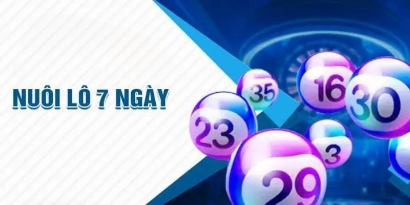 Kinh Nghiệm Chọn Lô Chuẩn Xác Để Nuôi Khung 7 Ngày