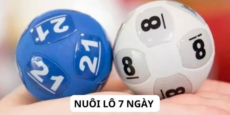 Phân Tích Thống Kê Kết Quả Nuôi Lô Khung 7 Ngày